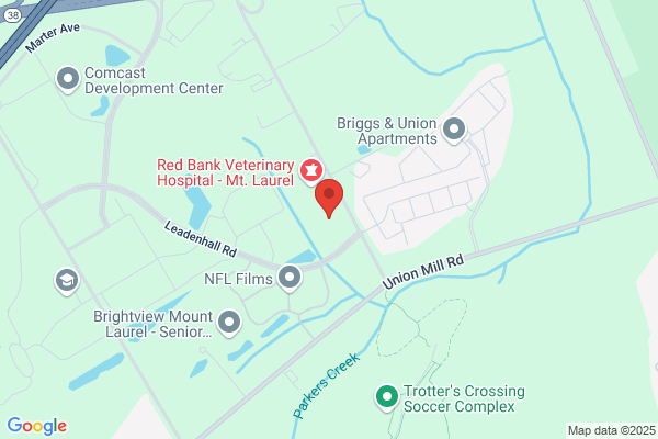 Burlington Orthopaedic Surgery
