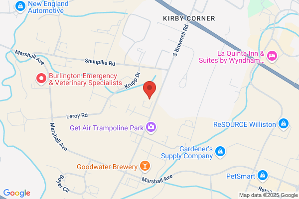 Roto-Rooter Plumbing Service