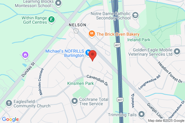 Nelson Animal Hospital