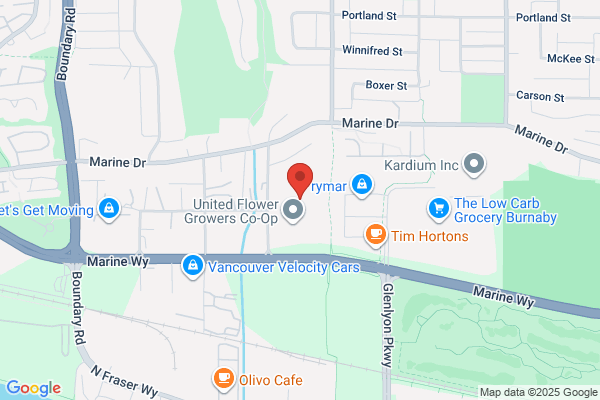 Ornamentum Furniture