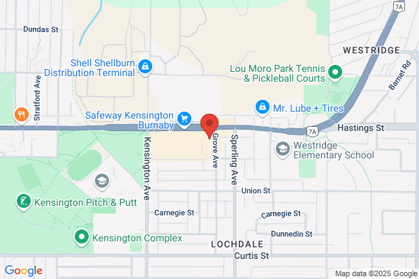 Kensington Pet Food Plus