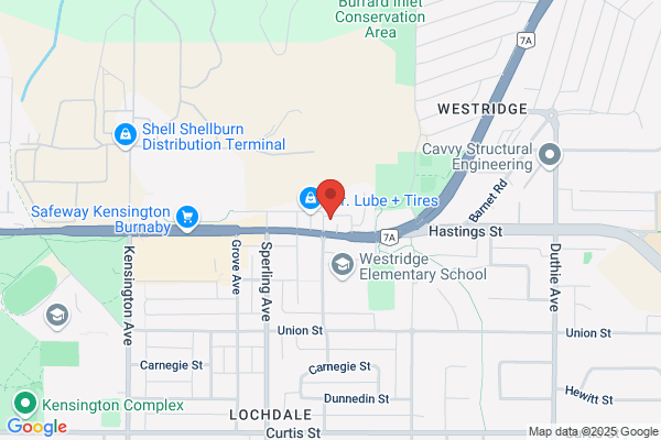 D S Goodman Auto
