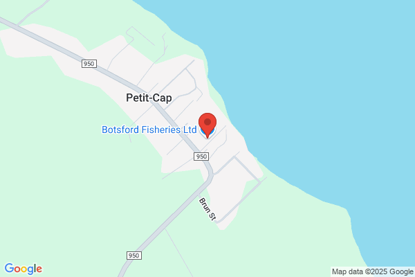 Bp Fisheries Ltd