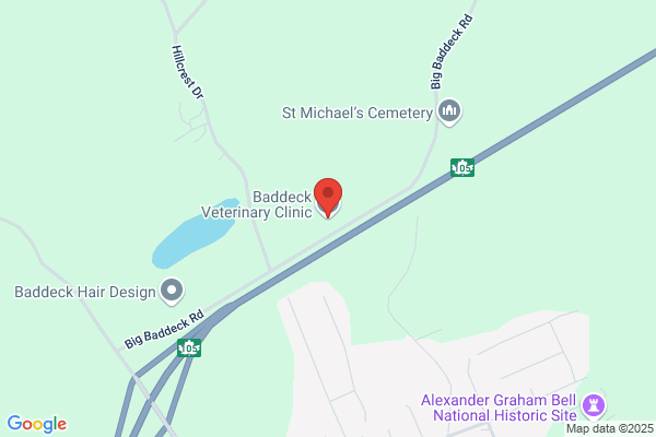 Baddeck Veterinary Clinic Ltd