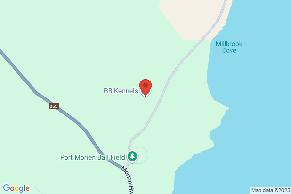 Briarhill Kennels
