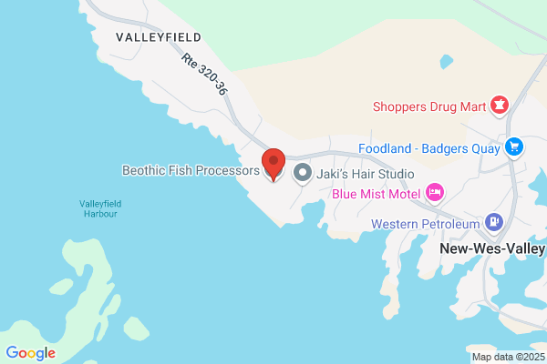 Beothic Fish Processors Ltd