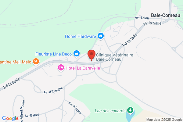Clinique Veterinaire De Baie-Comeau, Dr Louis Tousignant D M V