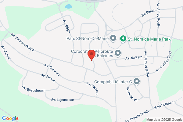 Les Inspections Patrick Soucy Inc