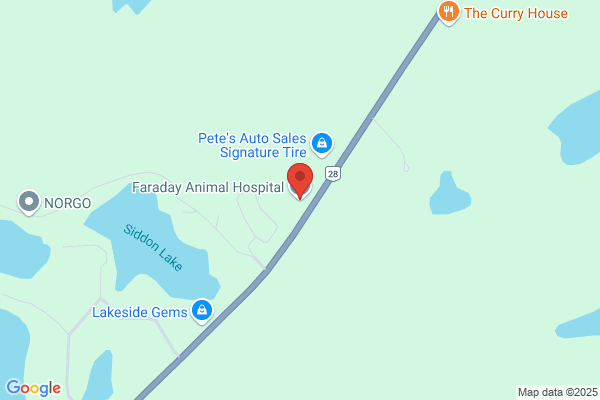 Faraday Animal Hospital