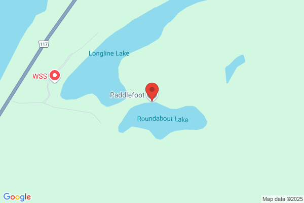 Paddlefoot