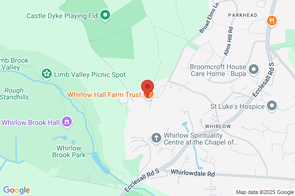 Arborist Tree Service