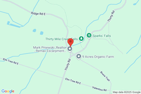 Mark Pniewski REMAX Escarpment Realty/Buying And selling  Real Estate With Outstanding Results