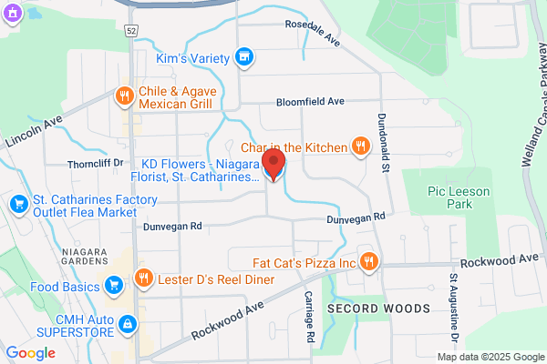 Niagara SEO Experts
