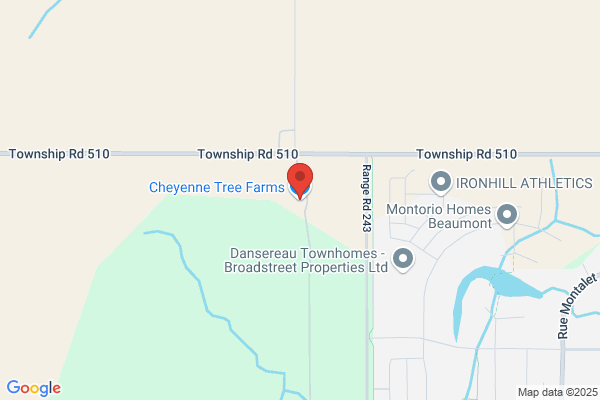 Cheyenne Tree Farms Ltd