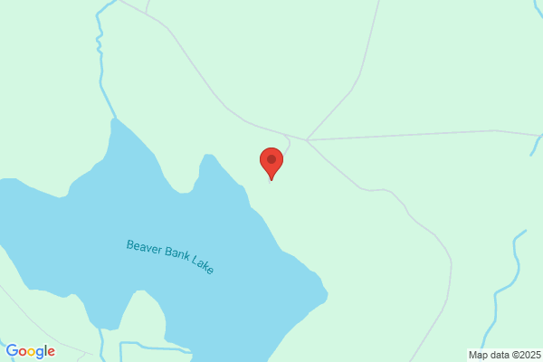 Camp William S Dr Dent