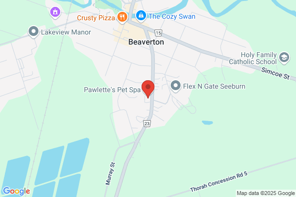 Little Beavers Playhouse