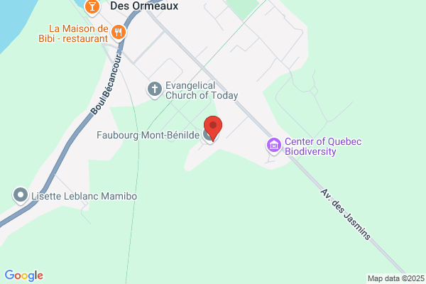 Centre Jeunesse De La Mauricie Et Du Centre-Du-Quebe, Services Milieux