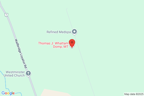 Thomas J. Whattam Domp, MT