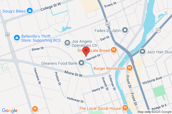 Carquest Auto Parts