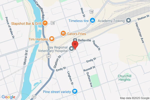 Belleville Fire Department, Fire Prevention
