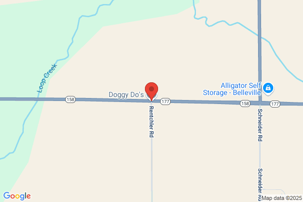 Doggie DO and Daycare