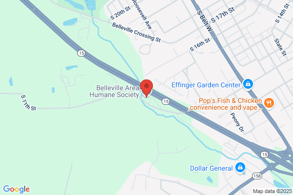 Belleville (City of), Animal Shelter