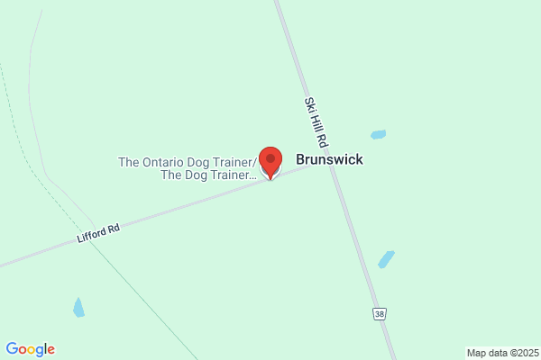 The Ontario Dog Trainer