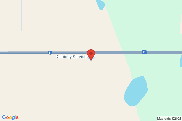 Delainey Service