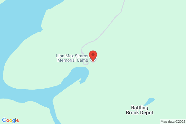 Lion Max Simms Memorial Camp