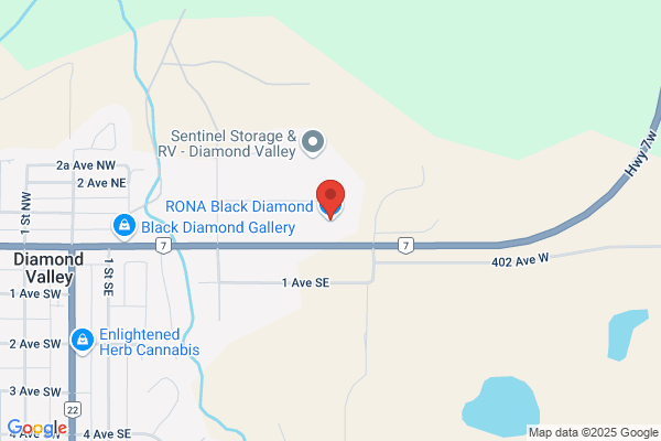 RONA Black Diamond