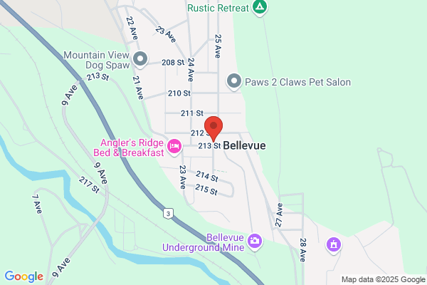 Bellevue Veterinary Clinic Ltd