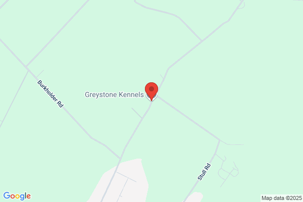 Graystone Kennels