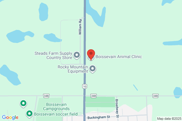 Boissevain Animal Clinic