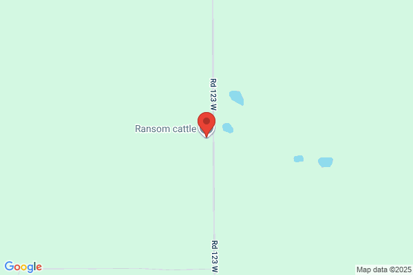 Ransom Don Livestock Ltd