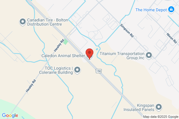 Animal Services, Caledon, Animal Control