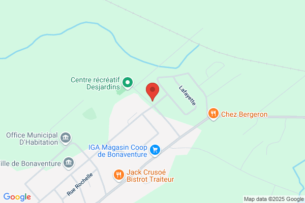 Clinique Acupuncture Bonaventure Francois Nolin