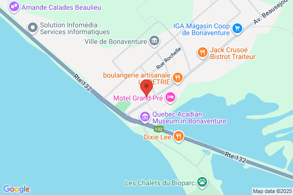 La Maison De La Famille-M R C Bonaventure Inc
