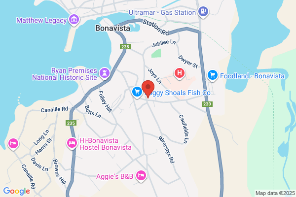 Shirran's Taxi & Charter Service