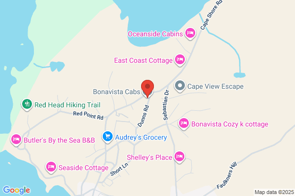 Bonavista Cabs