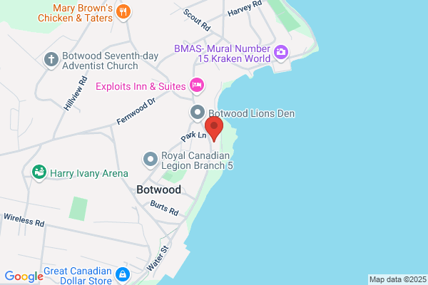 Library-Botwood