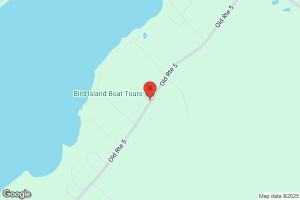Bird Island Boat Tours