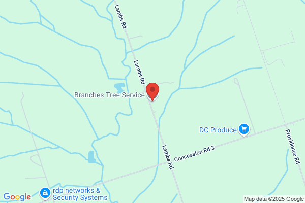 Branches Tree Service