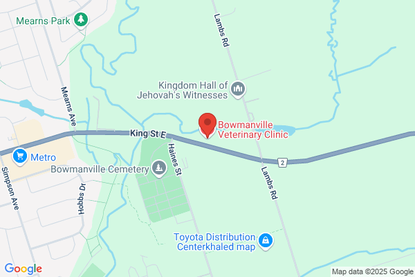 Bowmanville Veterinary Clinic