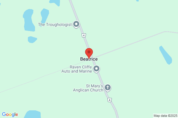 Muskoka River Tree & Property Care
