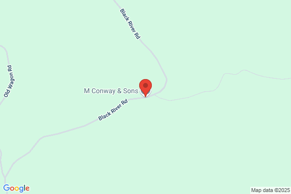 M Conway & Sons Ltd