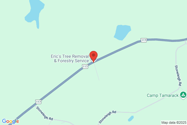 Eric's Tree Removal & Forestry Service