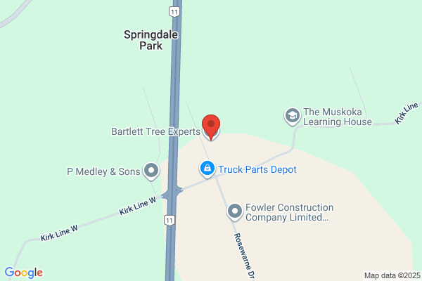 Arborist's Tree Service-Bartlett Tree Experts