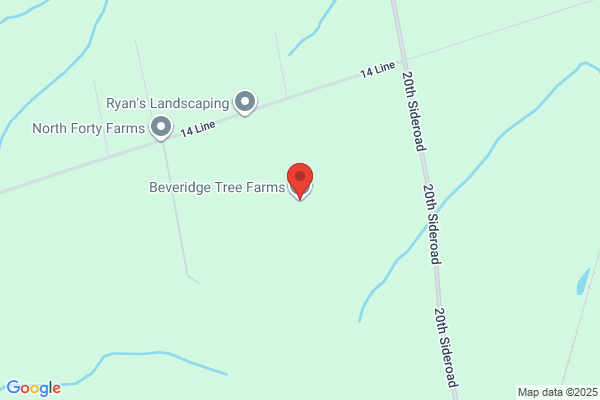 Beveridge Tree Farms
