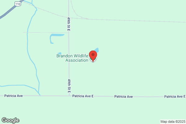 Brandon, Conservation