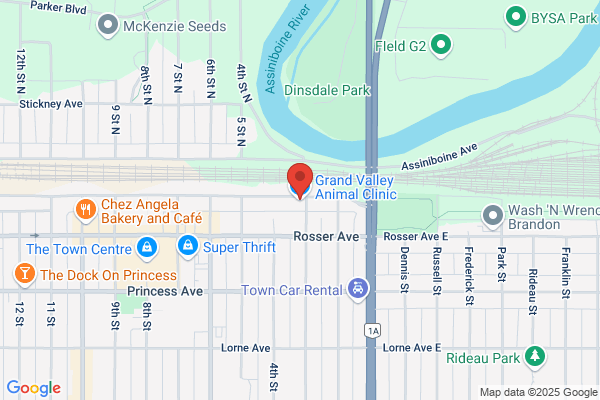 Grand Valley Animal Clinic